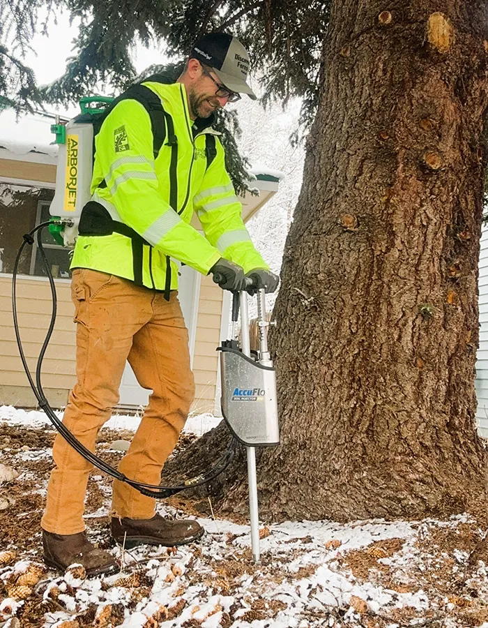 Korey Lofy Grand County Arborist