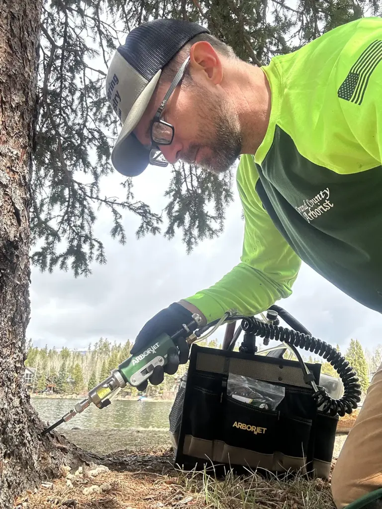 Korey Arborist Consultation