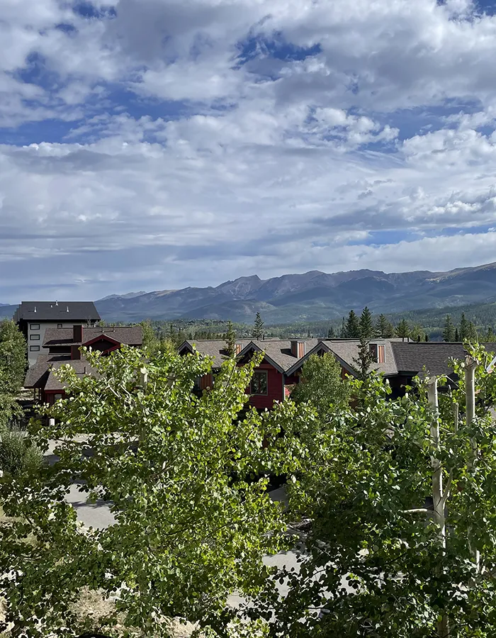 Wildfire Mitigation Services